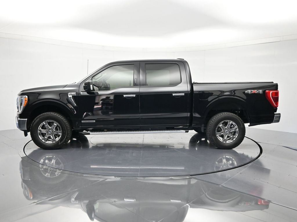Certified 2023 Ford F150 XLT w/ Equipment Group 302A High AWD/4WD image 8