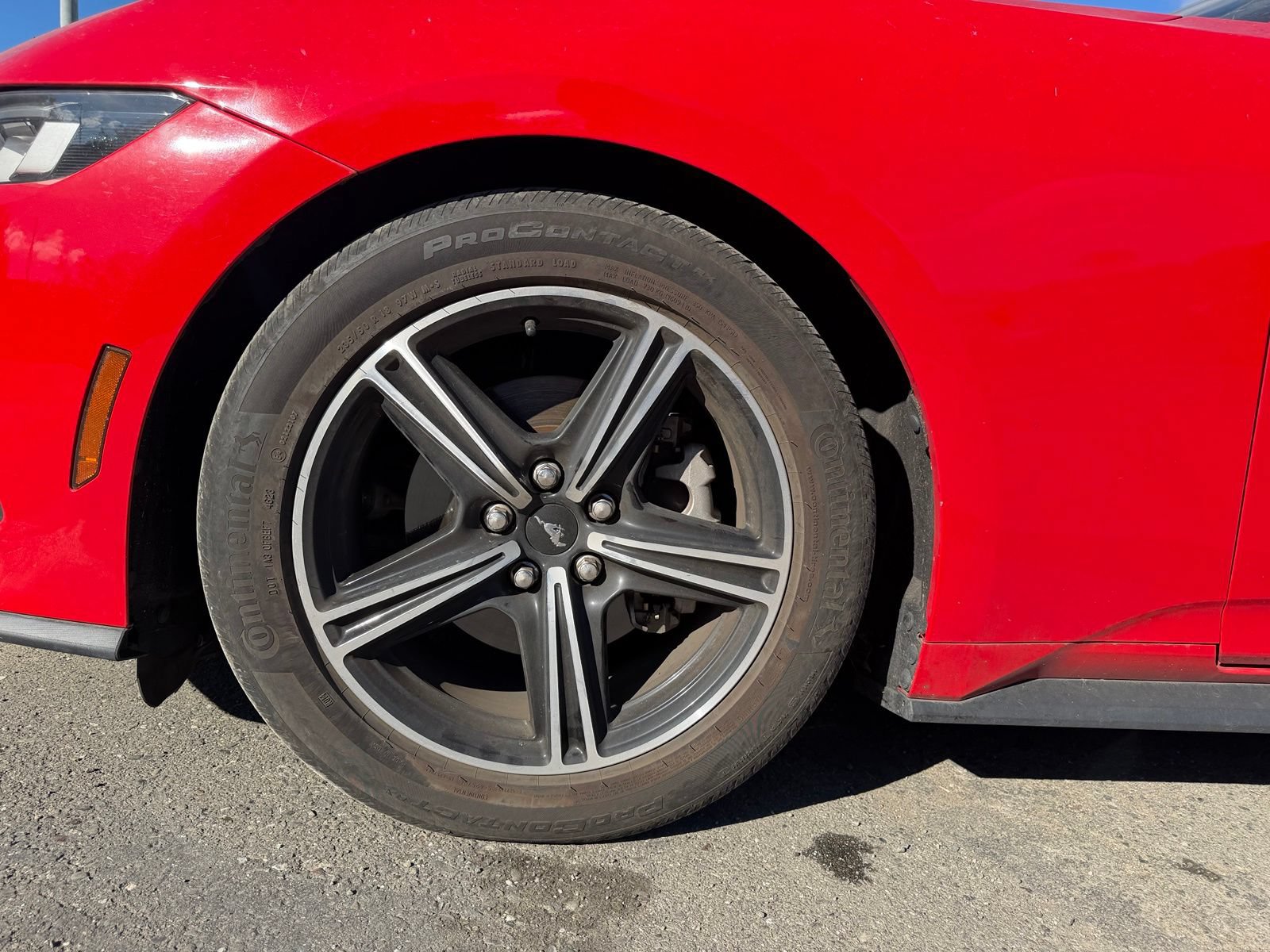 Certified 2024 Ford Mustang Premium RWD image 9