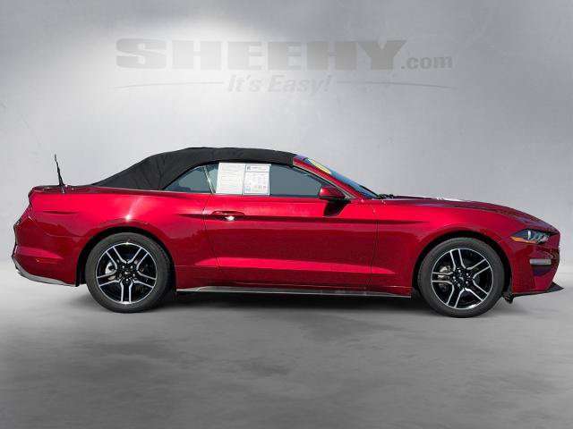 Certified 2019 Ford Mustang Premium RWD image 10