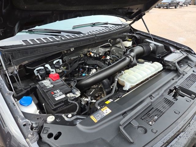 Certified 2023 Ford Expedition Limited image 16