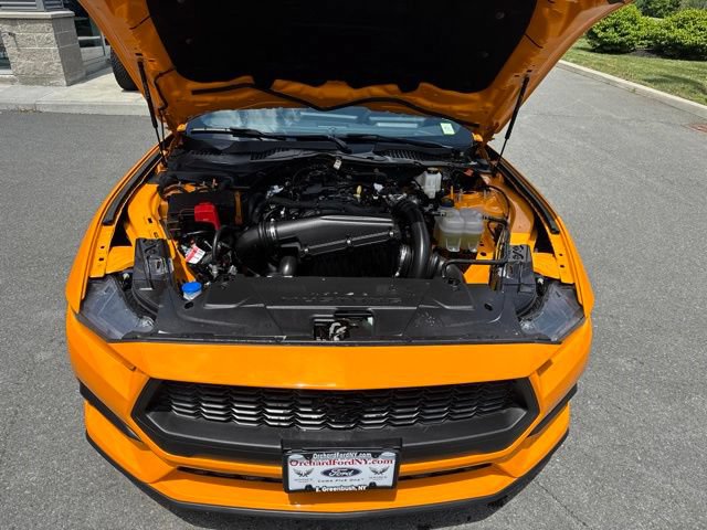 Certified 2026 Ford Mustang Coupe w/ Mustang Nite Pony Package RWD image 18