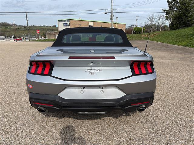 Certified 2024 Ford Mustang Premium RWD image 3