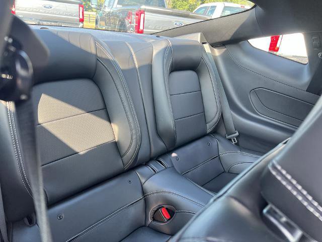Certified 2024 Ford Mustang Premium image 13