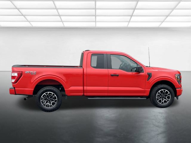 Certified 2023 Ford F150 XL w/ STX Appearance Package image 3
