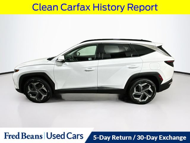 Used 2024 Hyundai Tucson Limited AWD/4WD image 5