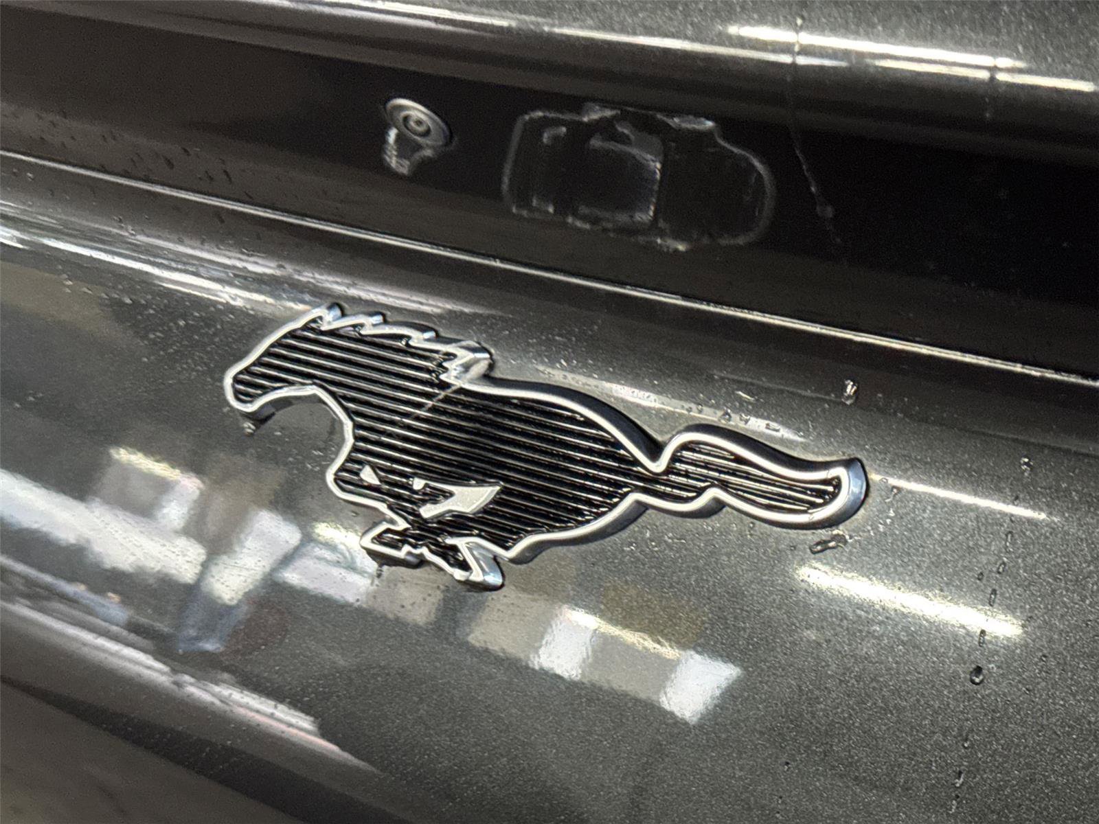 Certified 2022 Ford Mustang Mach-E Premium image 13