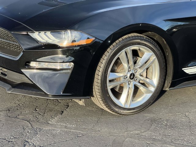 Certified 2021 Ford Mustang Premium w/ Pony Package RWD image 9
