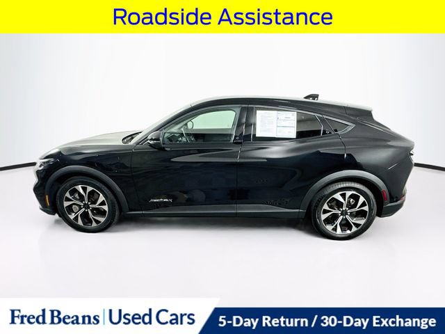 Certified 2024 Ford Mustang Mach-E Select w/ Comfort Package Lite AWD/4WD image 5