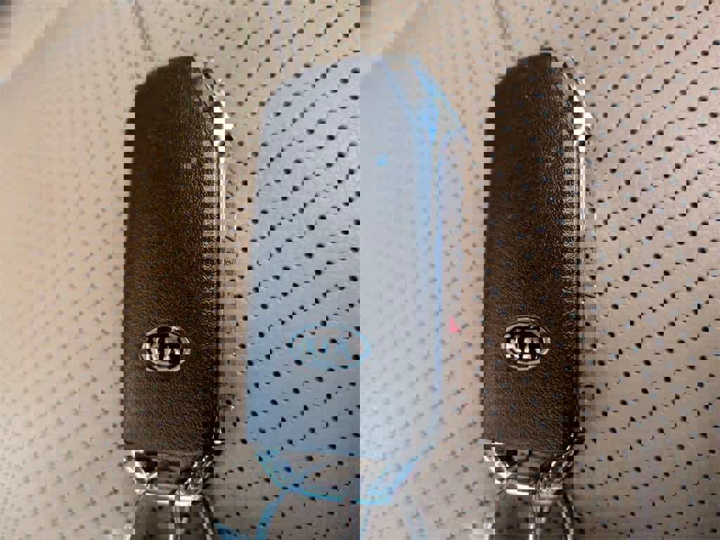 Used 2020 Kia Telluride SX w/ Towing Package image 38