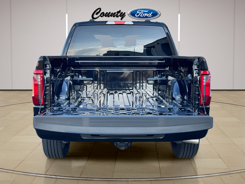 Certified 2025 Ford F150 STX w/ Equipment Group 200A RWD image 19