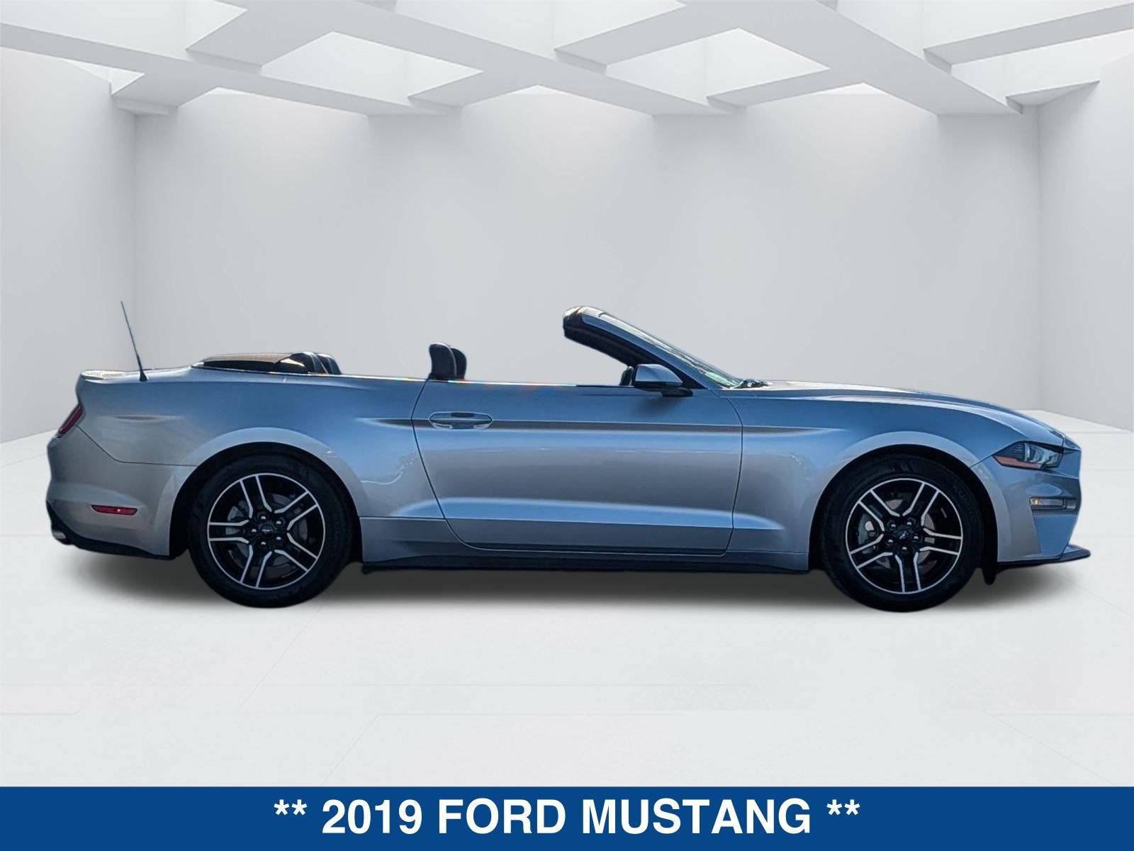 Certified 2019 Ford Mustang Premium image 5