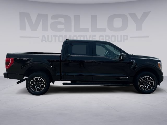 Certified 2023 Ford F150 XLT w/ Equipment Group 302A High AWD/4WD image 6