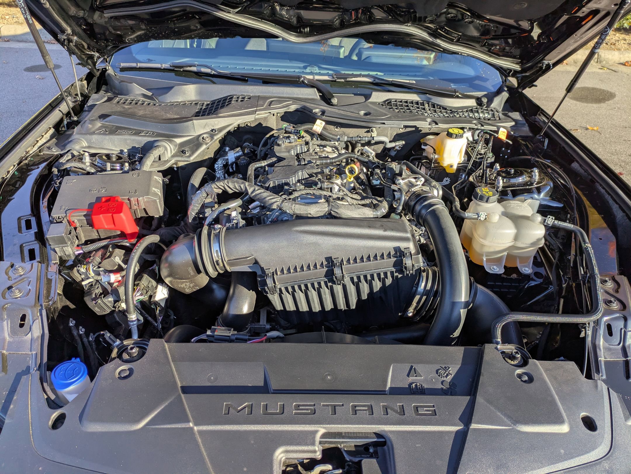 Certified 2025 Ford Mustang Coupe w/ Mustang Nite Pony Package image 34