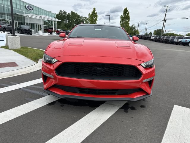 Certified 2019 Ford Mustang Coupe w/ Equipment Group 101A RWD image 8