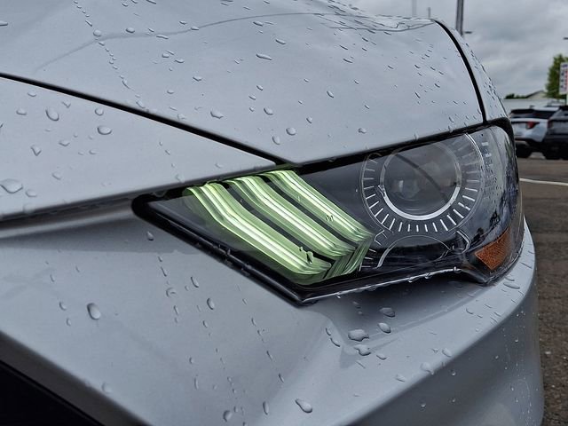 Certified 2019 Ford Mustang Coupe RWD image 9