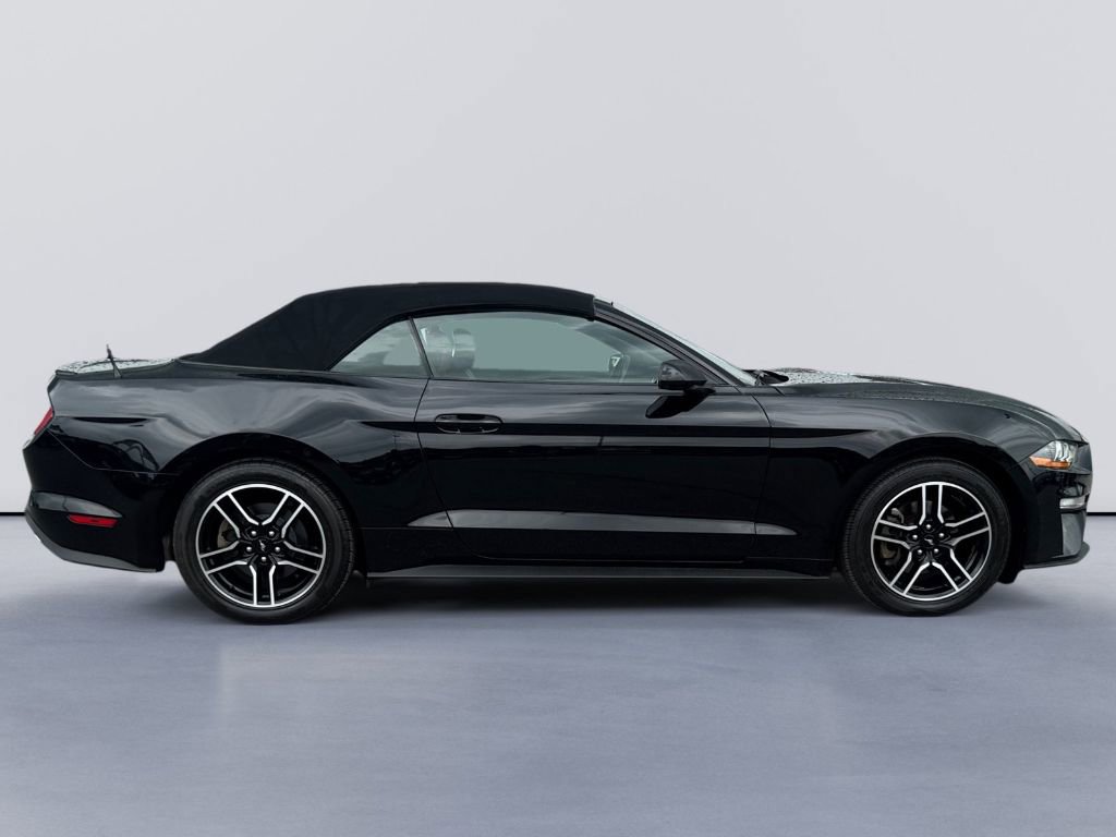 Certified 2021 Ford Mustang Premium image 6