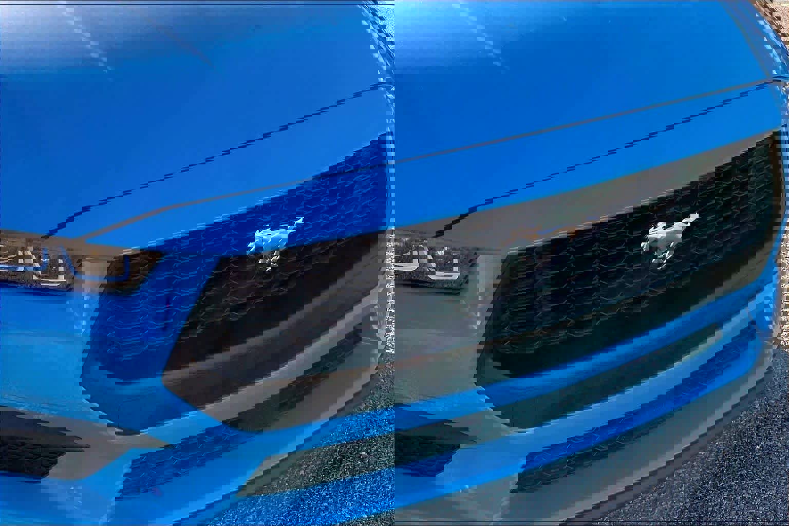 Certified 2024 Ford Mustang Premium image 28