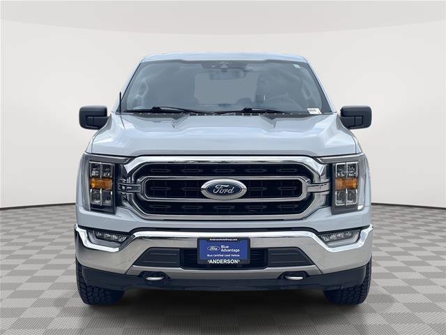 Certified 2021 Ford F150 XLT w/ Equipment Group 302A High AWD/4WD image 4