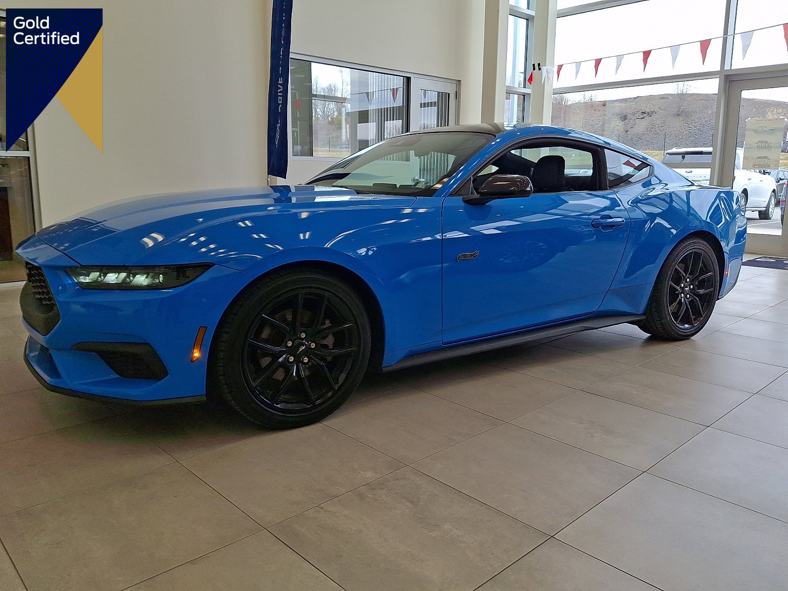 Certified 2024 Ford Mustang EcoBoost Fastback w/ Mustang Nite Pony Package image 1