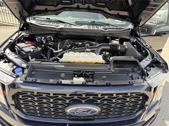 Certified 2023 Ford F150 XL w/ STX Appearance Package RWD image 28