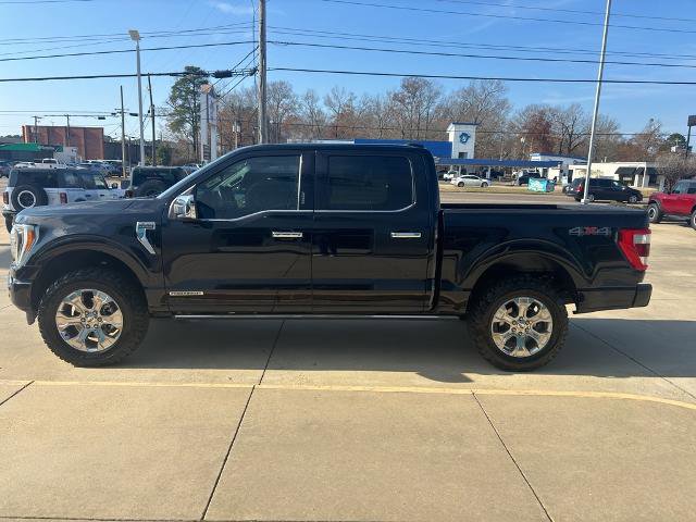 Certified 2022 Ford F150 Platinum image 8