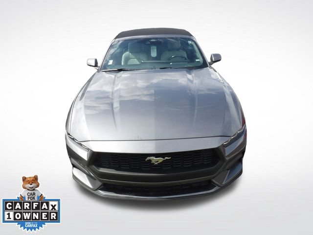 Certified 2024 Ford Mustang Premium RWD image 3