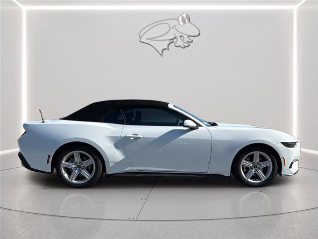 Certified 2026 Ford Mustang Convertible w/ Anti-Theft Package RWD image 6