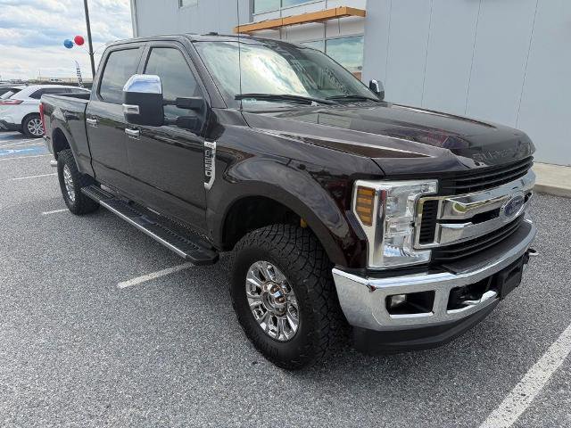 Certified 2019 Ford F250 XLT w/ XLT Premium Package AWD/4WD image 2