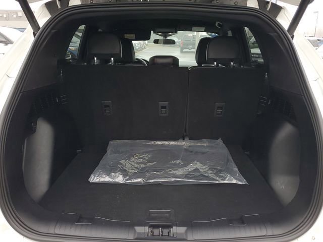 Certified 2024 Ford Escape ST-Line w/ Tech Pack #1 image 8