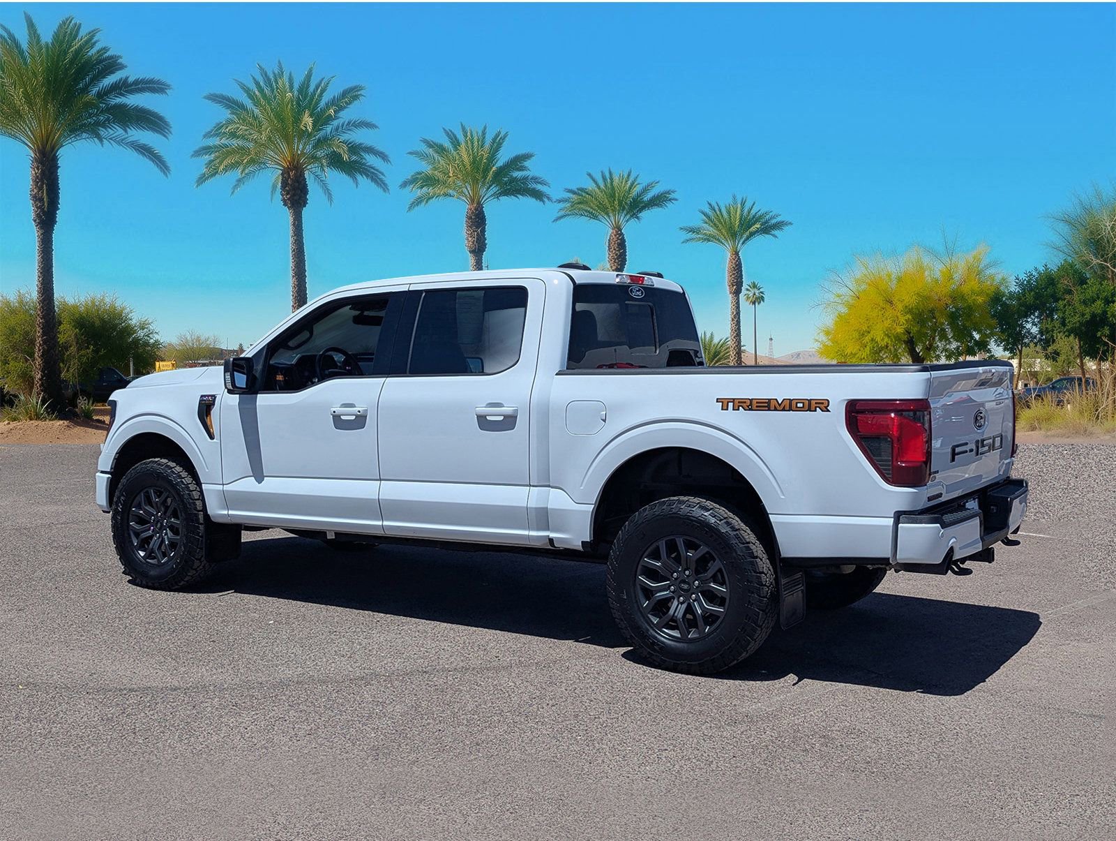 Certified 2025 Ford F150 Tremor w/ Tow/Haul Package AWD/4WD image 3