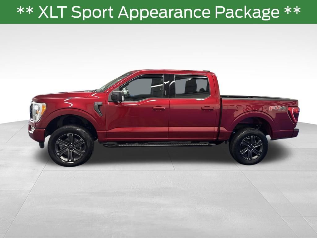 Certified 2021 Ford F150 XLT w/ Equipment Group 302A High image 4