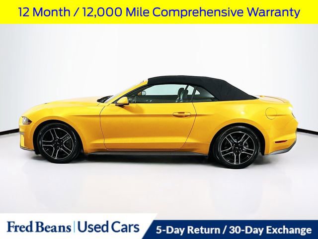 Certified 2022 Ford Mustang Premium image 5