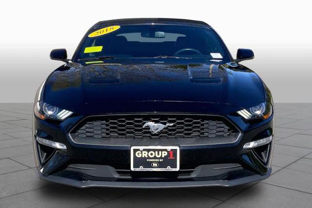 Certified 2018 Ford Mustang Premium w/ Equipment Group 201A RWD image 4