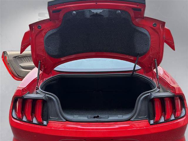 Certified 2020 Ford Mustang GT Premium w/ GT Performance Package RWD image 24