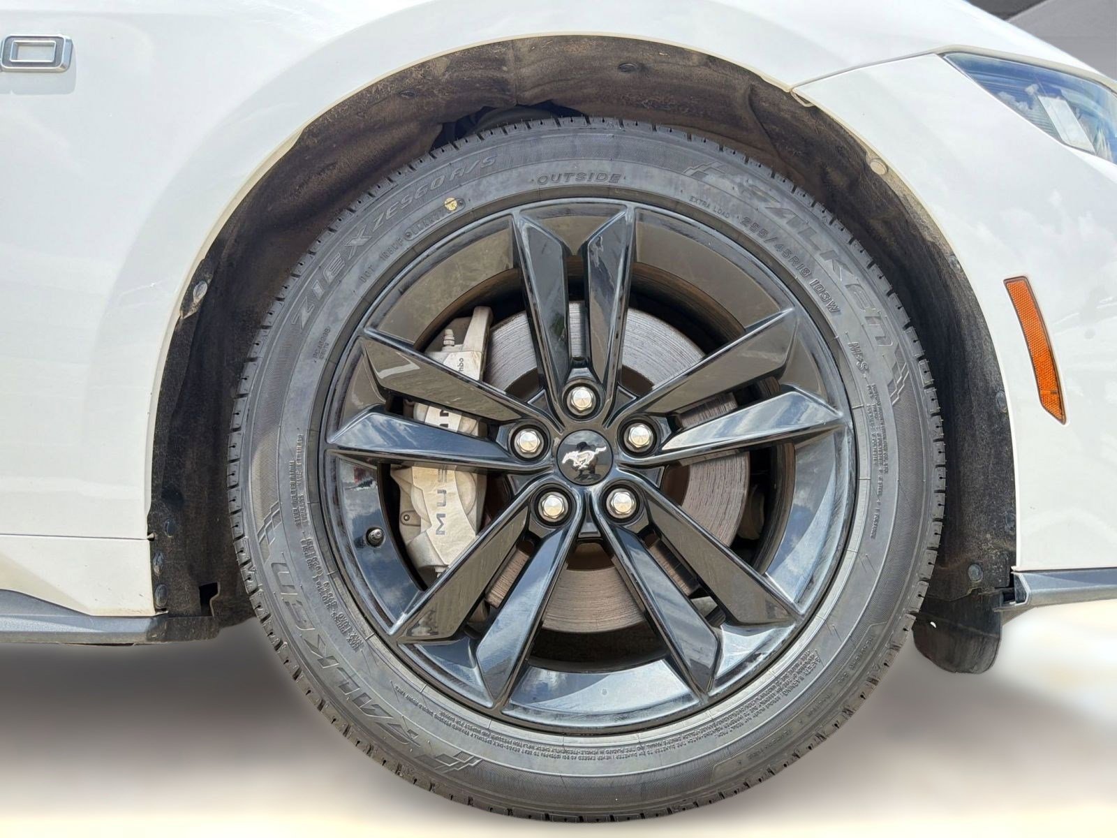 Certified 2024 Ford Mustang GT RWD image 11