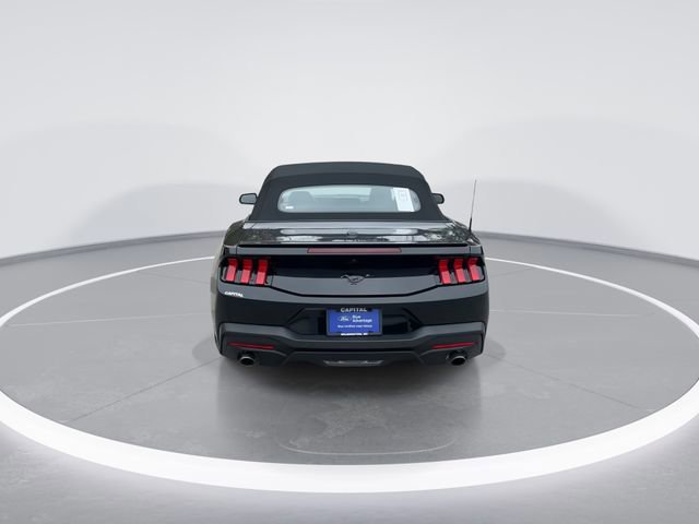 Certified 2025 Ford Mustang Premium image 4