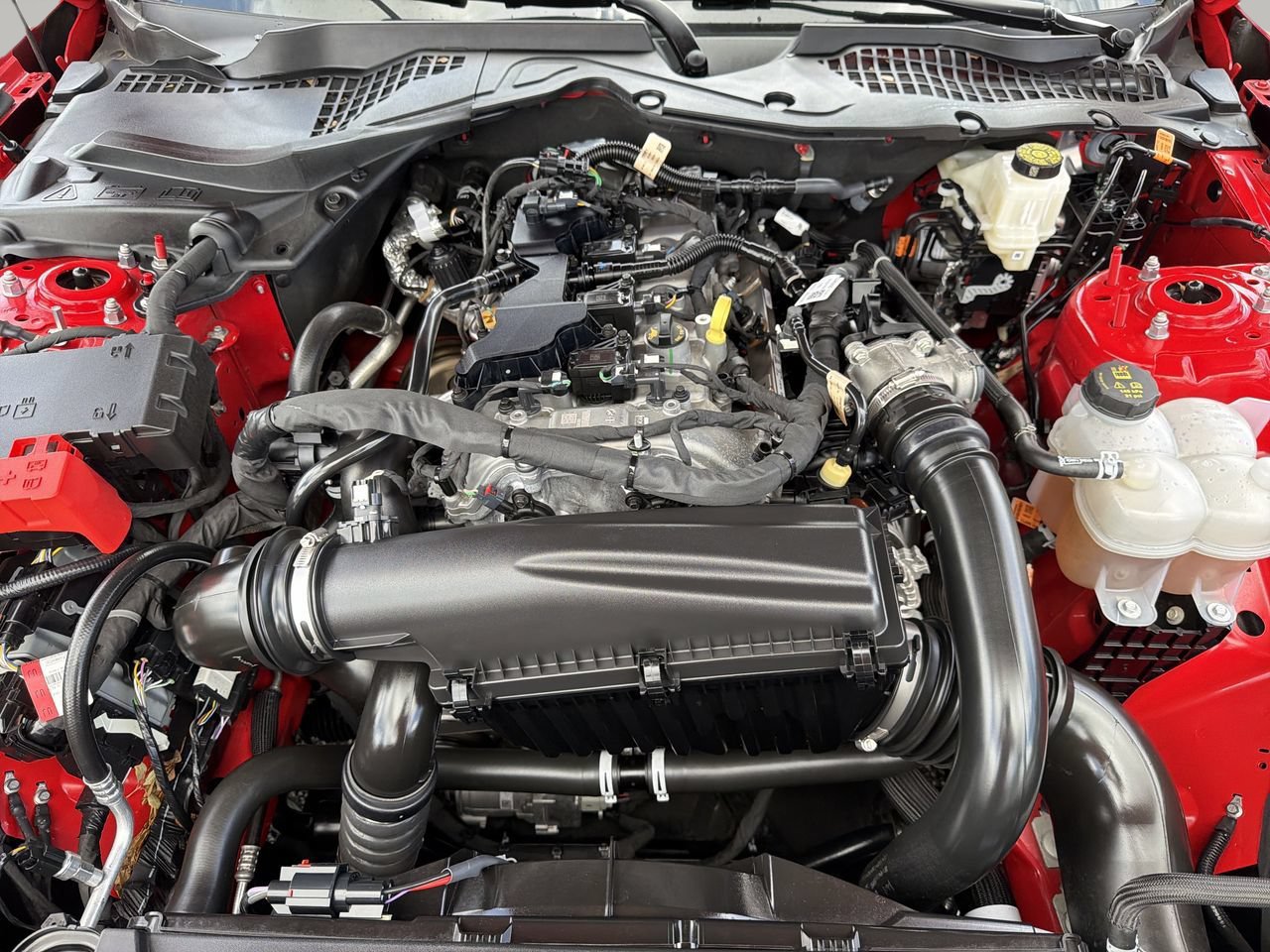 Certified 2025 Ford Mustang Coupe RWD image 9