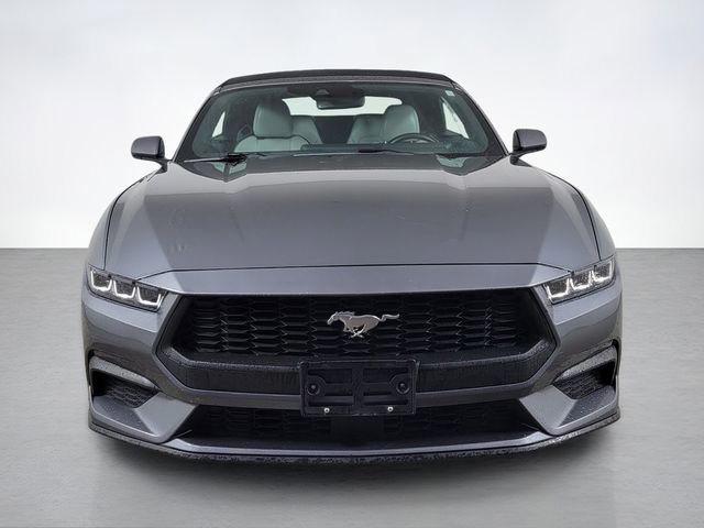 Certified 2024 Ford Mustang Premium RWD image 8