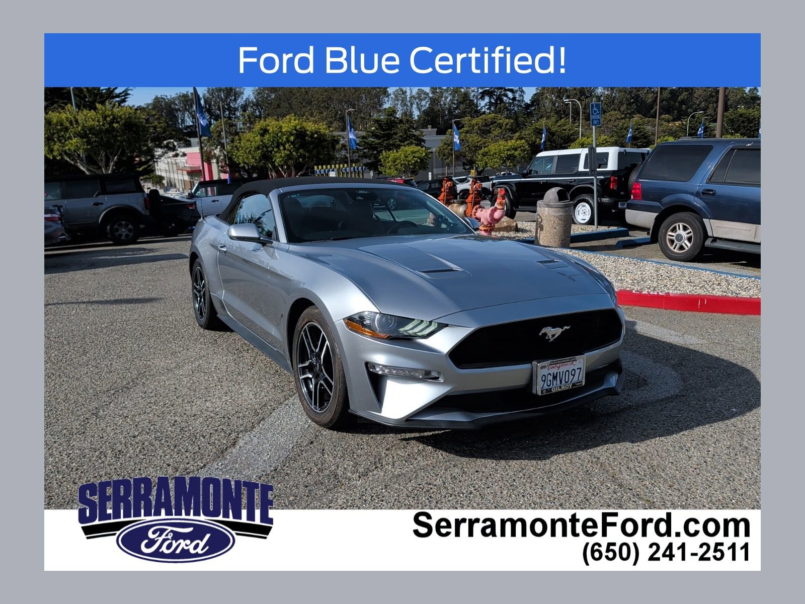 Certified 2021 Ford Mustang Premium