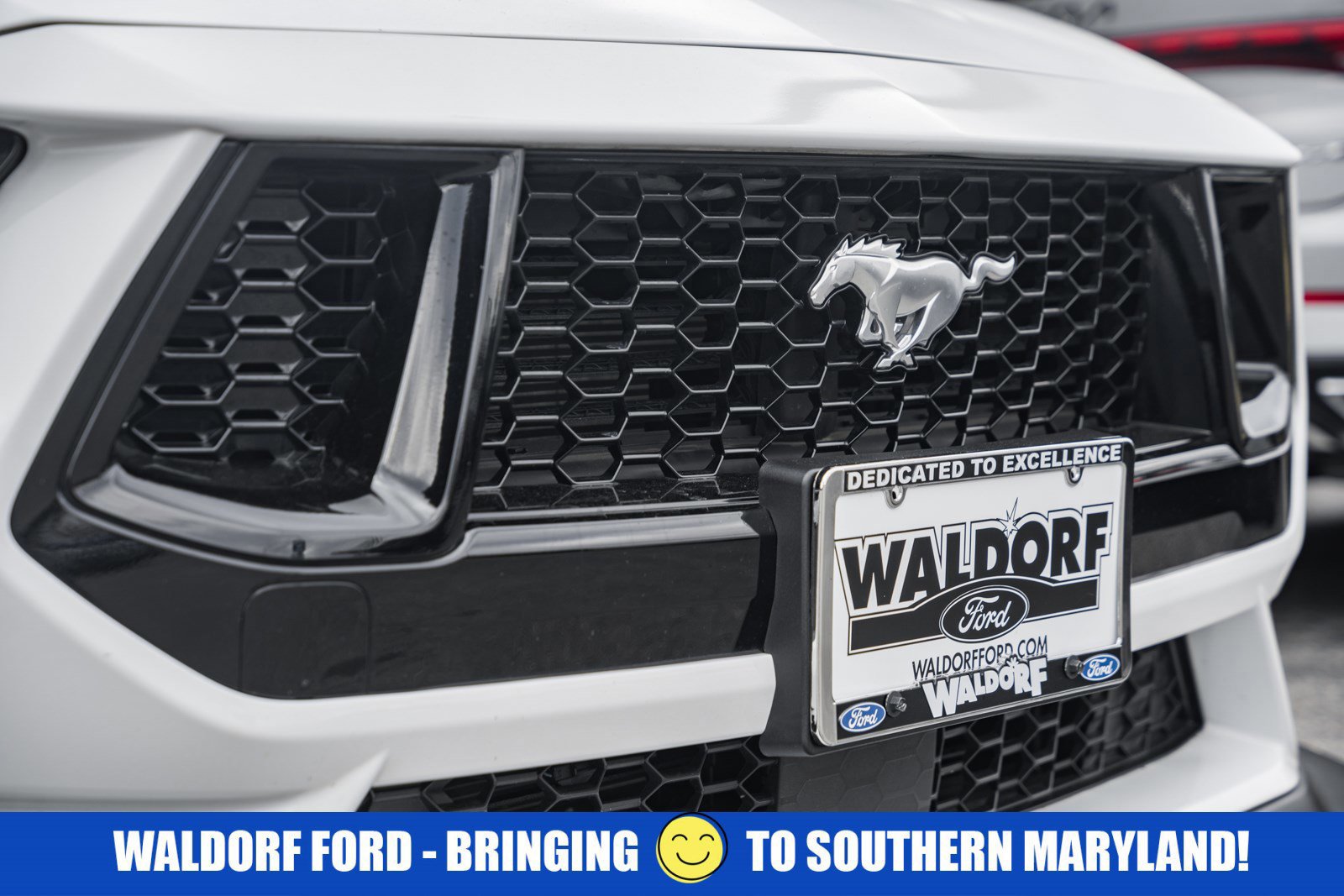 Certified 2024 Ford Mustang GT image 11