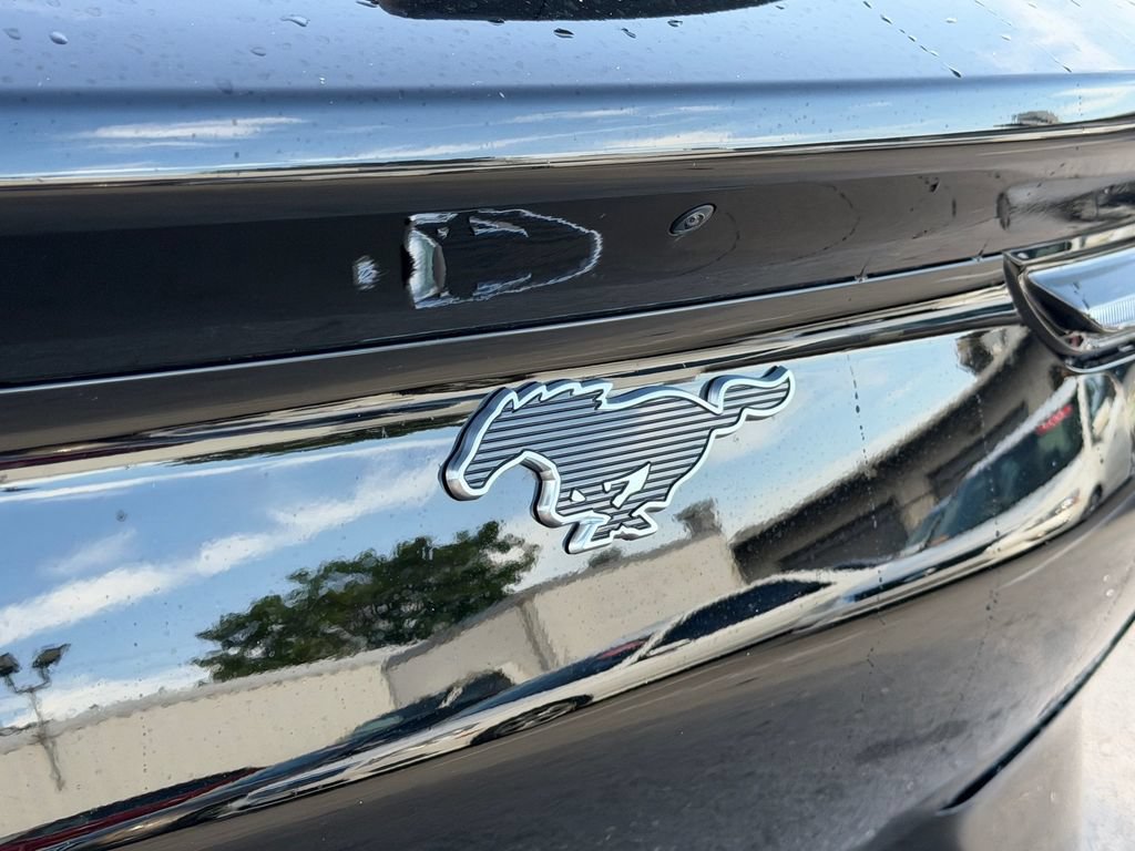 Certified 2025 Ford Mustang Mach-E Select RWD image 13