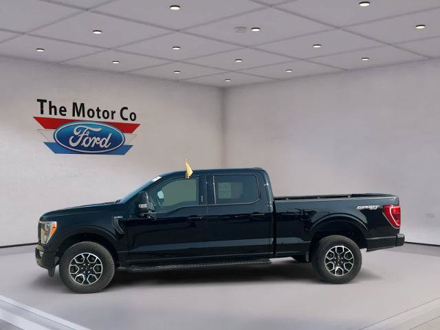 Certified 2023 Ford F150 XLT w/ Equipment Group 302A High AWD/4WD image 8