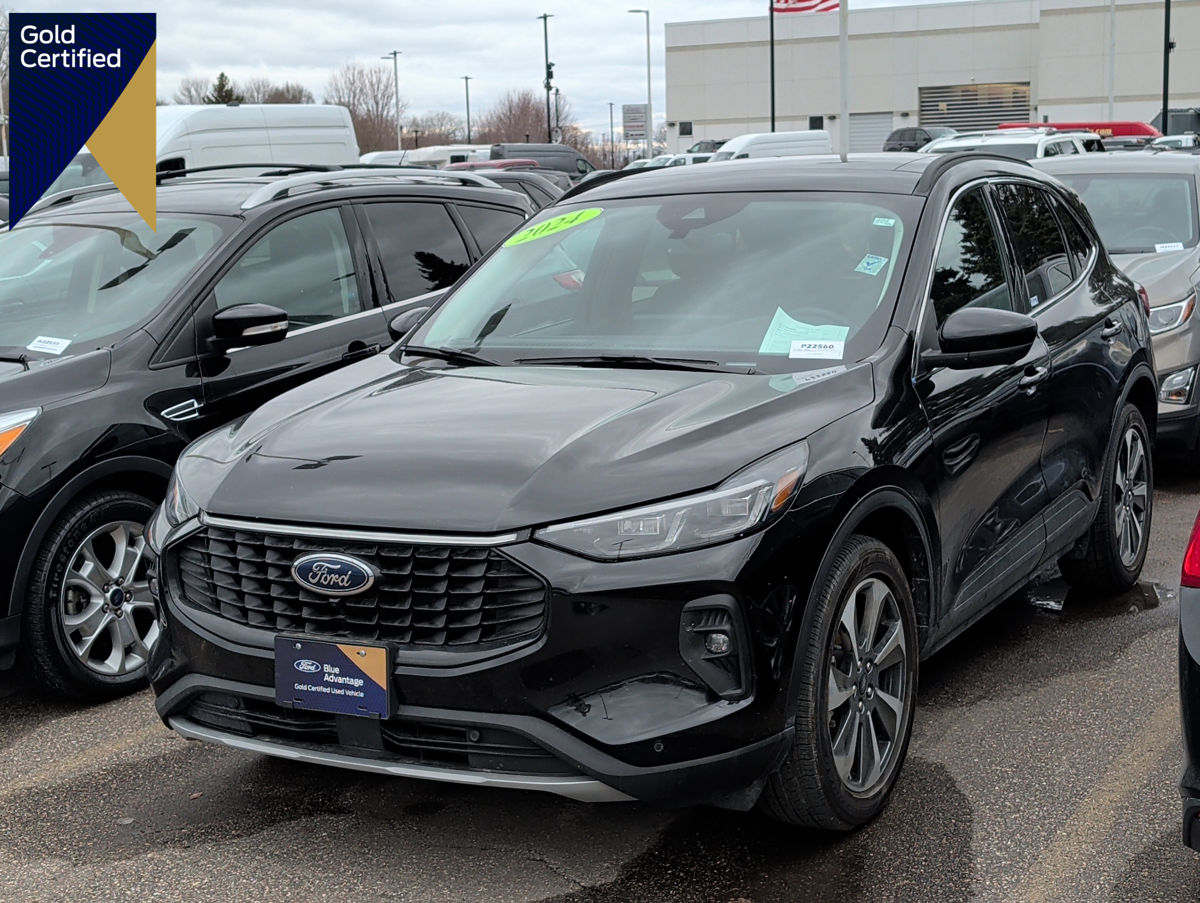 Certified 2024 Ford Escape Platinum image 1