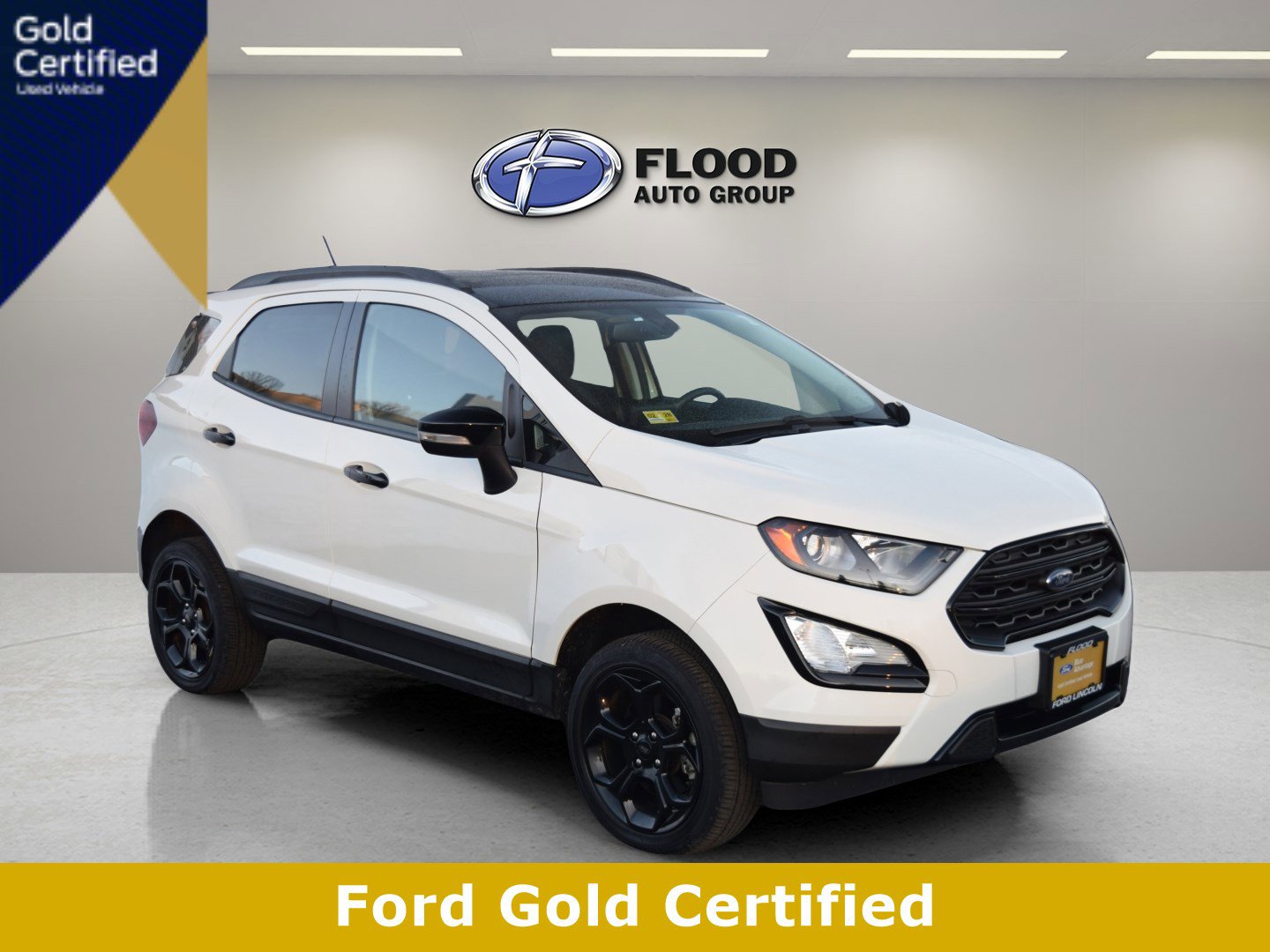 Certified 2021 Ford EcoSport SES image 1