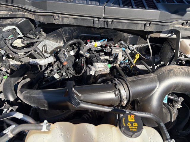 Certified 2025 Ford F150 STX AWD/4WD image 22