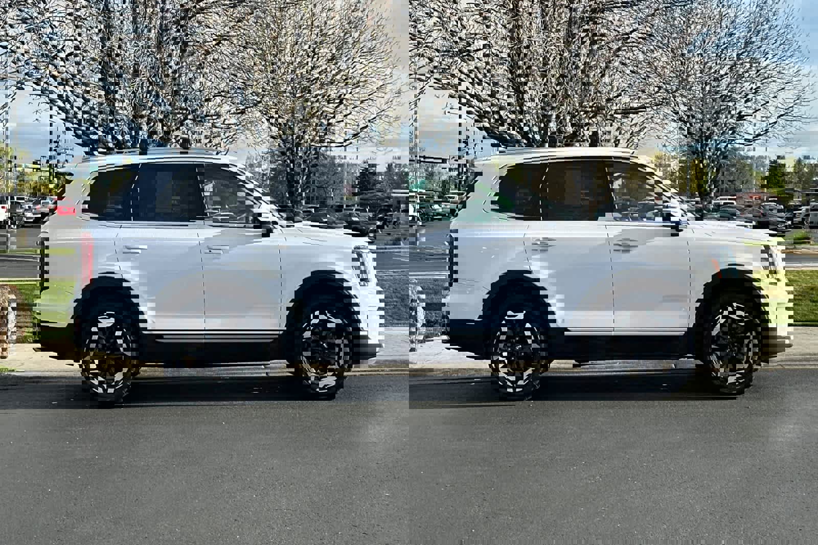 Used 2025 Kia Telluride S image 6