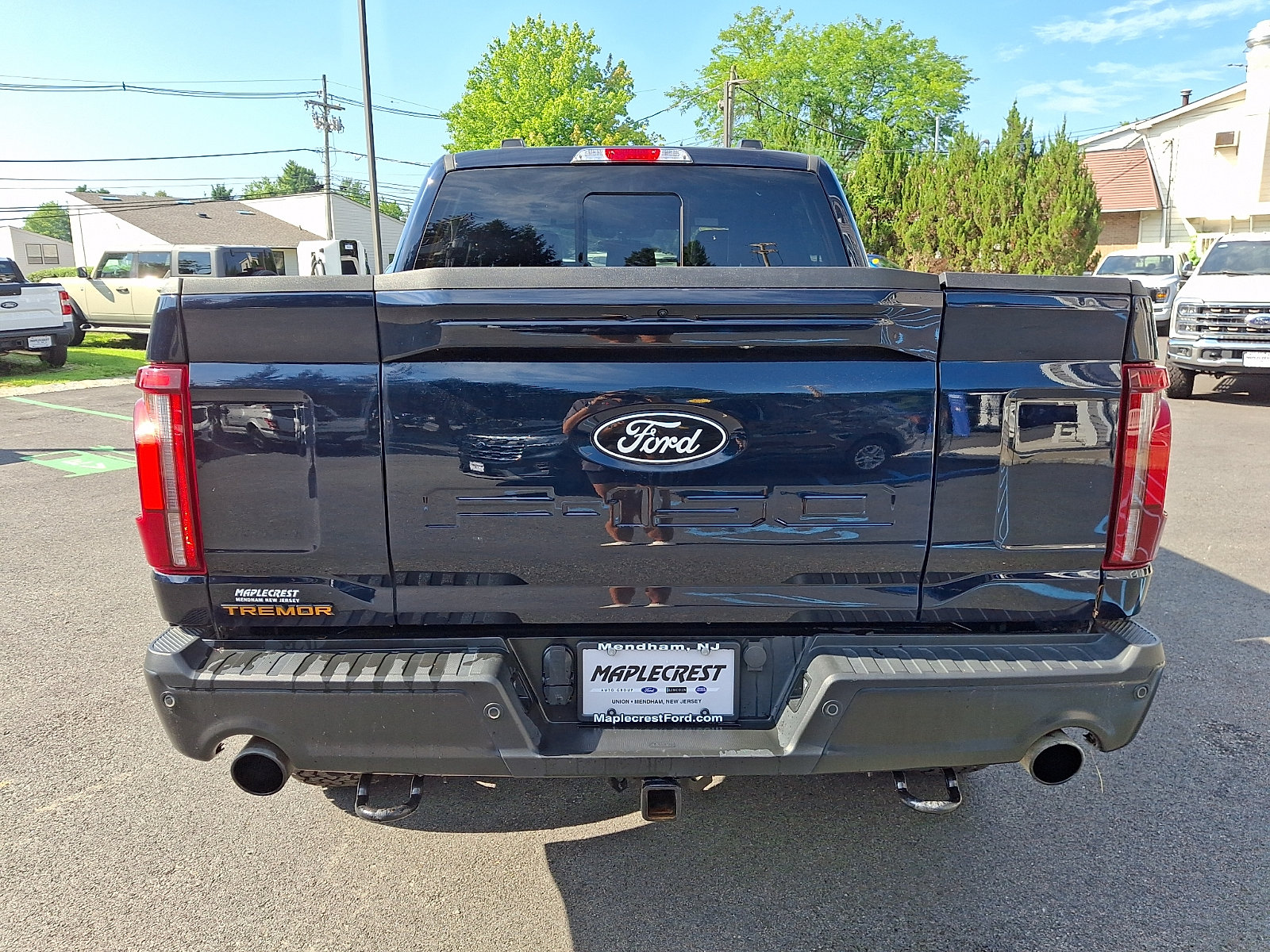 Certified 2025 Ford F150 Tremor w/ Equipment Group 402A High AWD/4WD image 6