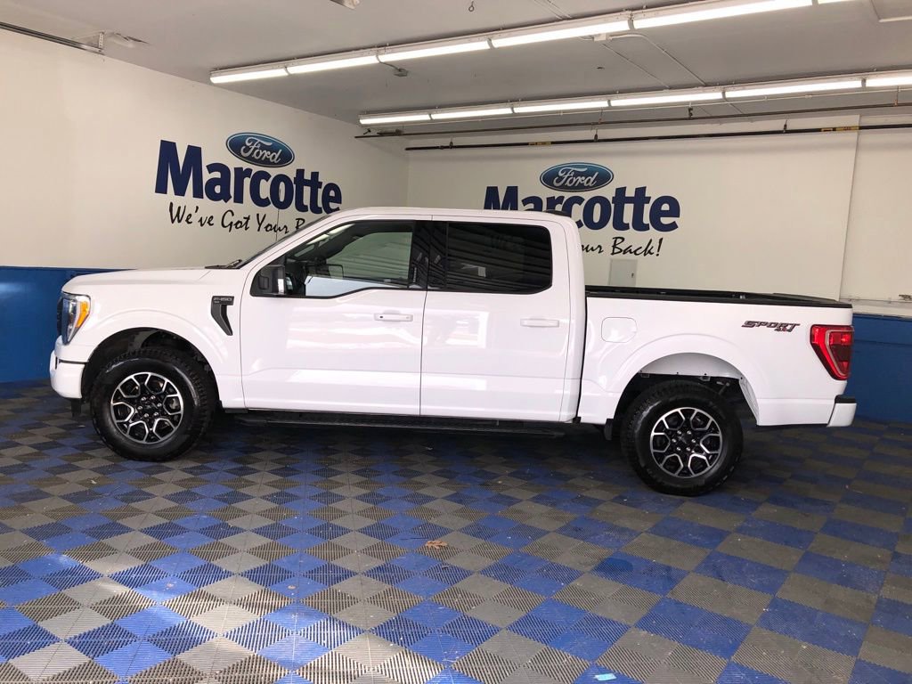 Certified 2023 Ford F150 XLT w/ Equipment Group 302A High image 2