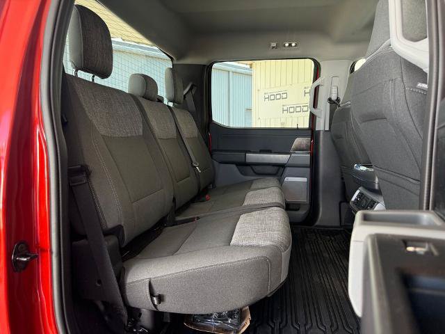 Certified 2023 Ford F150 XLT w/ Equipment Group 302A High AWD/4WD image 9