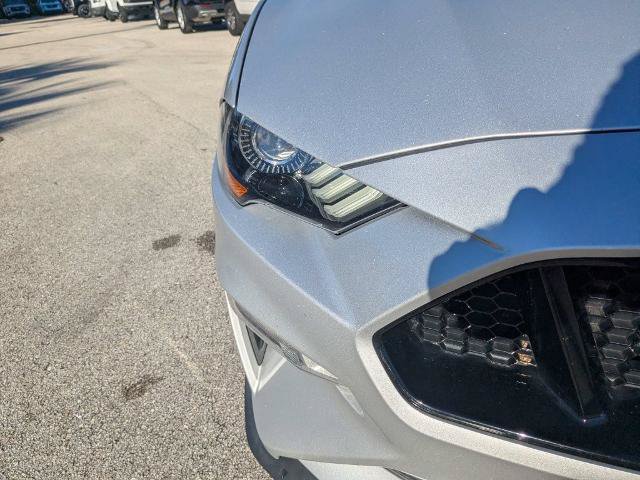 Certified 2019 Ford Mustang GT Premium w/ Ford Safe & Smart Package RWD image 10